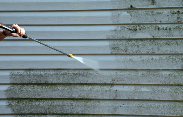 Best Affordable Pressure Washing  in Chincoteague, VA